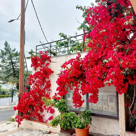 White Ruby Sea Side Kavala