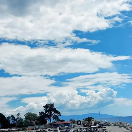 White Ruby Sea Side *