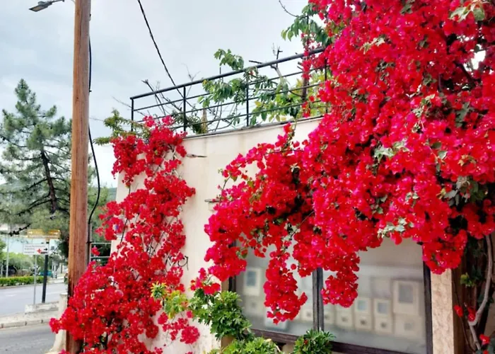 White Ruby Sea Side Kavala